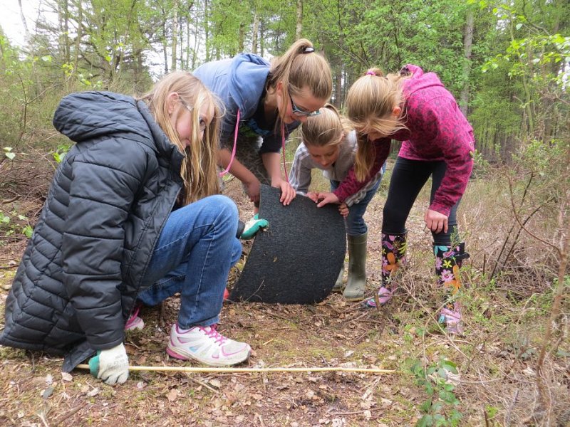 Outdoor Classroom Day